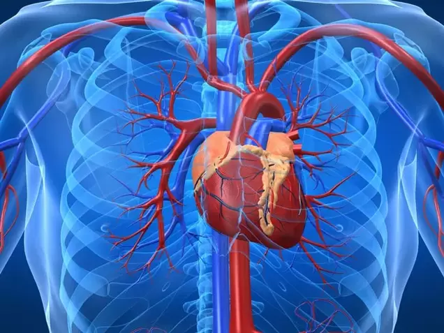 Potenshöjande övningar är kontraindicerade för hjärtsjukdomar